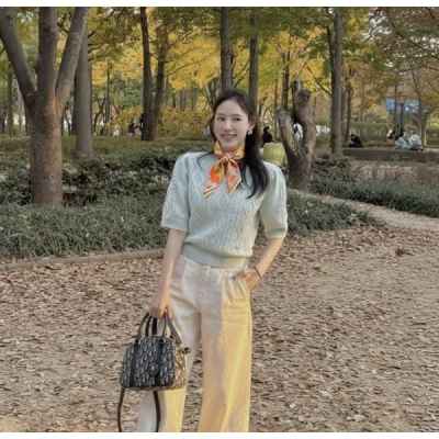 에*** 페가수스 방도