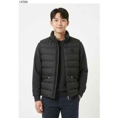 레히탈 다운 질레